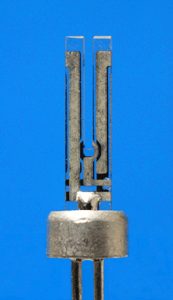 closeup of quartz tuning fork for AFM