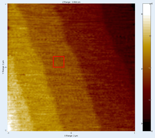 2D AFM scan of single atomic layer of Silicon